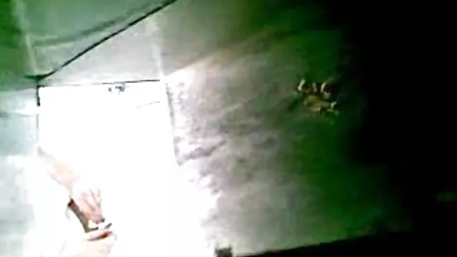 High definition :  Selvom fyren slår hendes fisse, er han vild med hendes stramme numse Porno film 